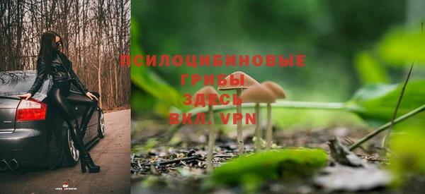 ешки Алексеевка