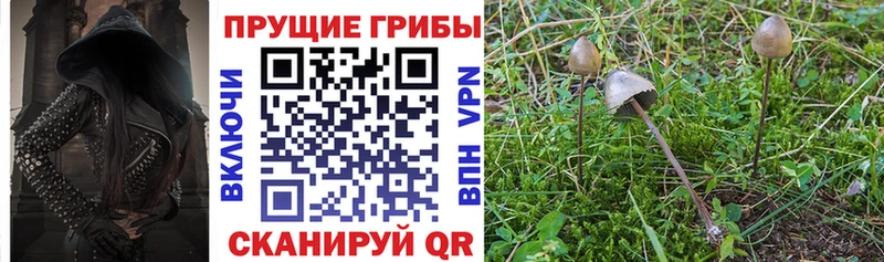 Галлюциногенные грибы Psilocybe  Нижние Серги 